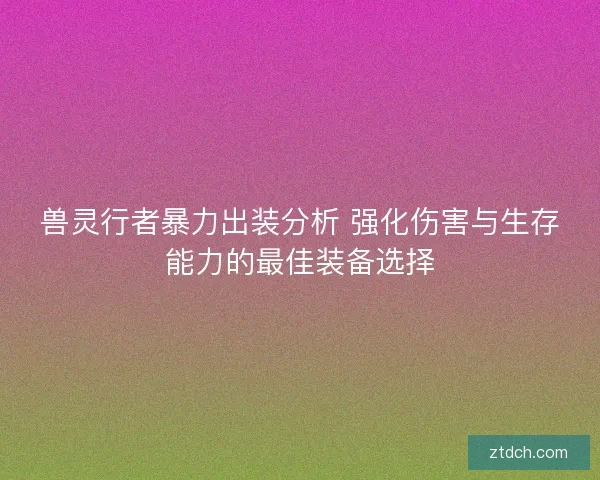兽灵行者暴力出装分析 强化伤害与生存能力的最佳装备选择