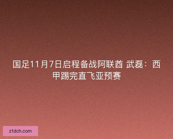 国足11月7日启程备战阿联酋 武磊：西甲踢完直飞亚预赛